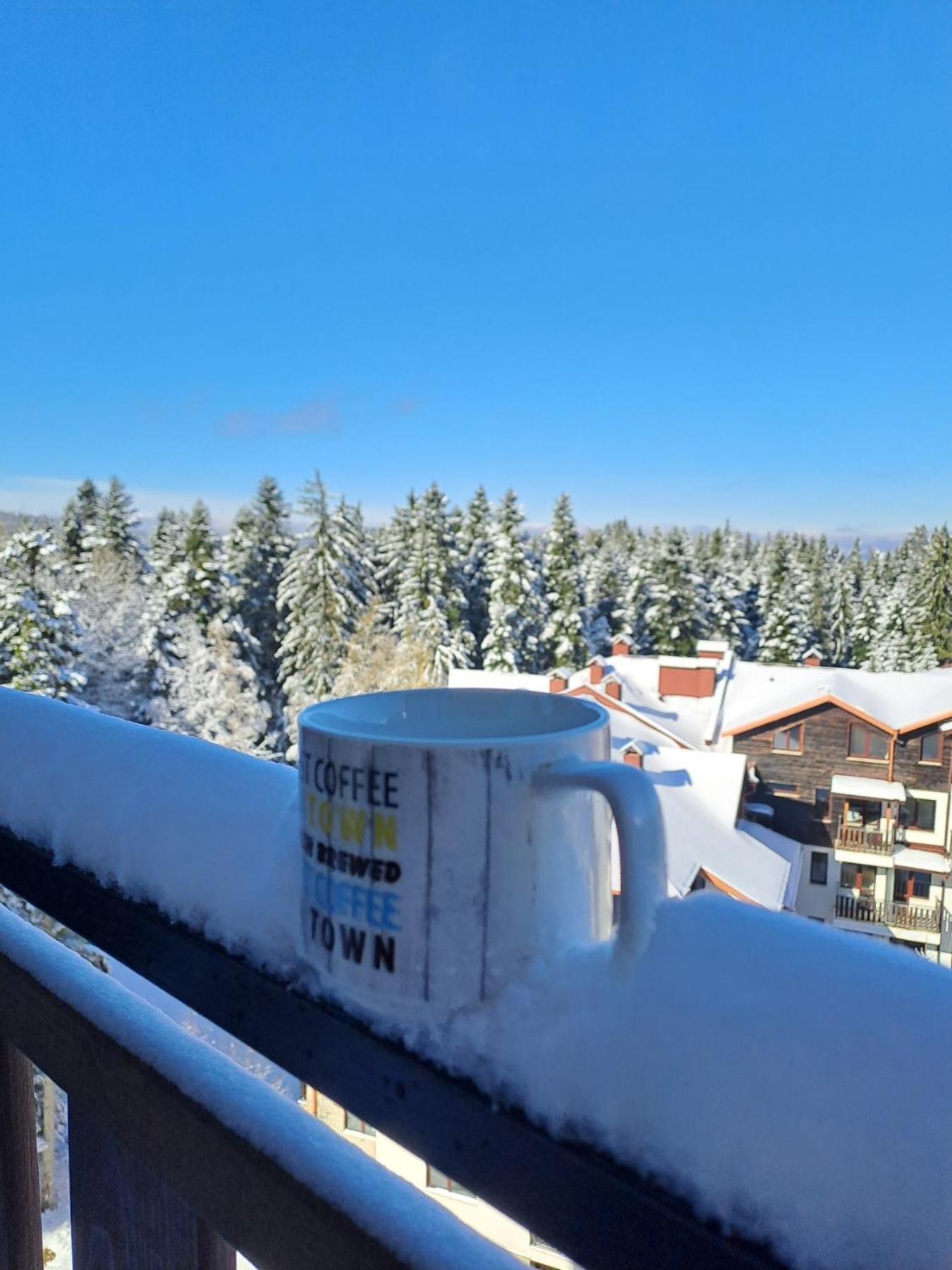 Large Studio With View In Borovets Gardens Exterior foto